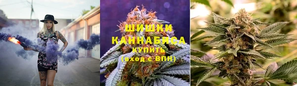 соль ск Арсеньев